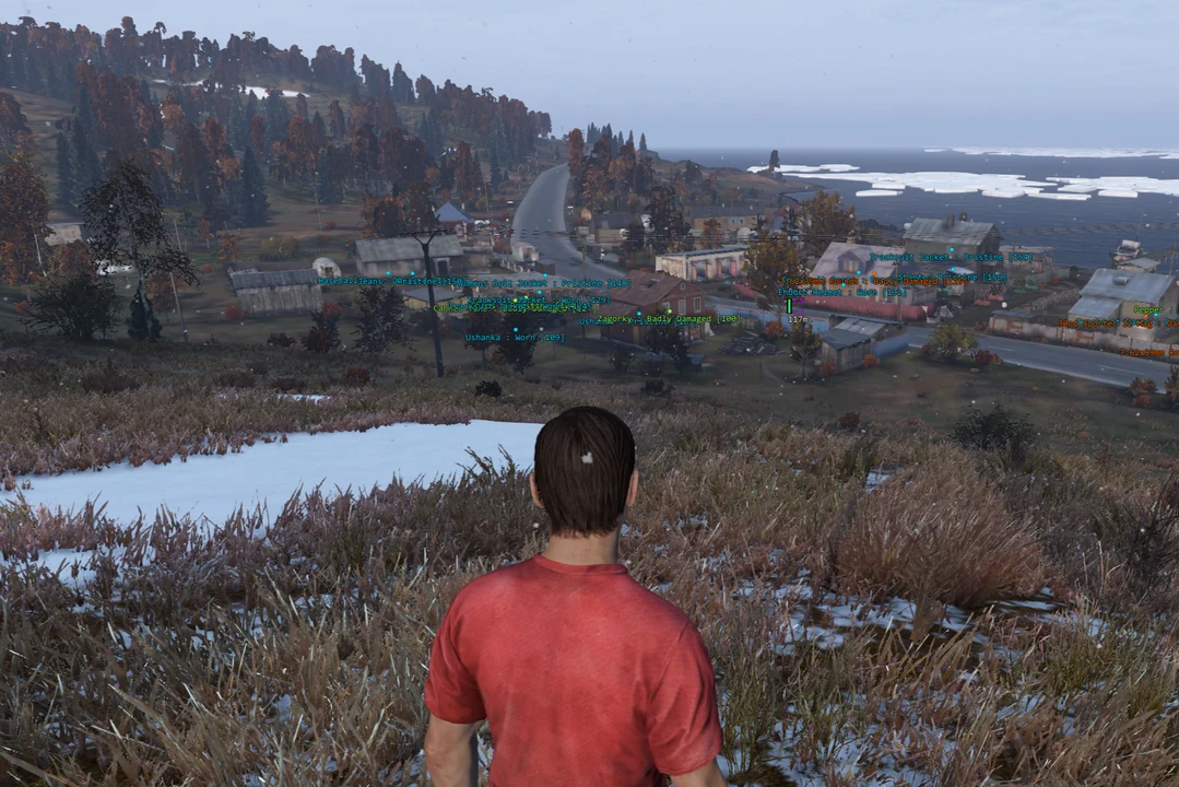 DayZ Loot ESP for weapons, food, ammo